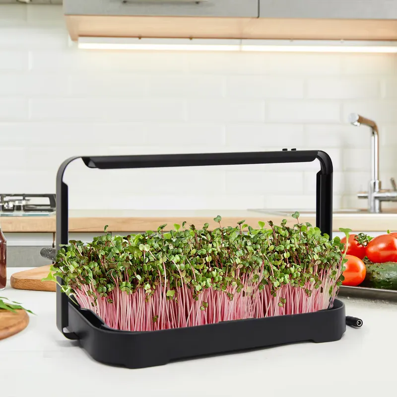 Smart Garden System - Bandeja Hidropónica para Interiores, Sistema de