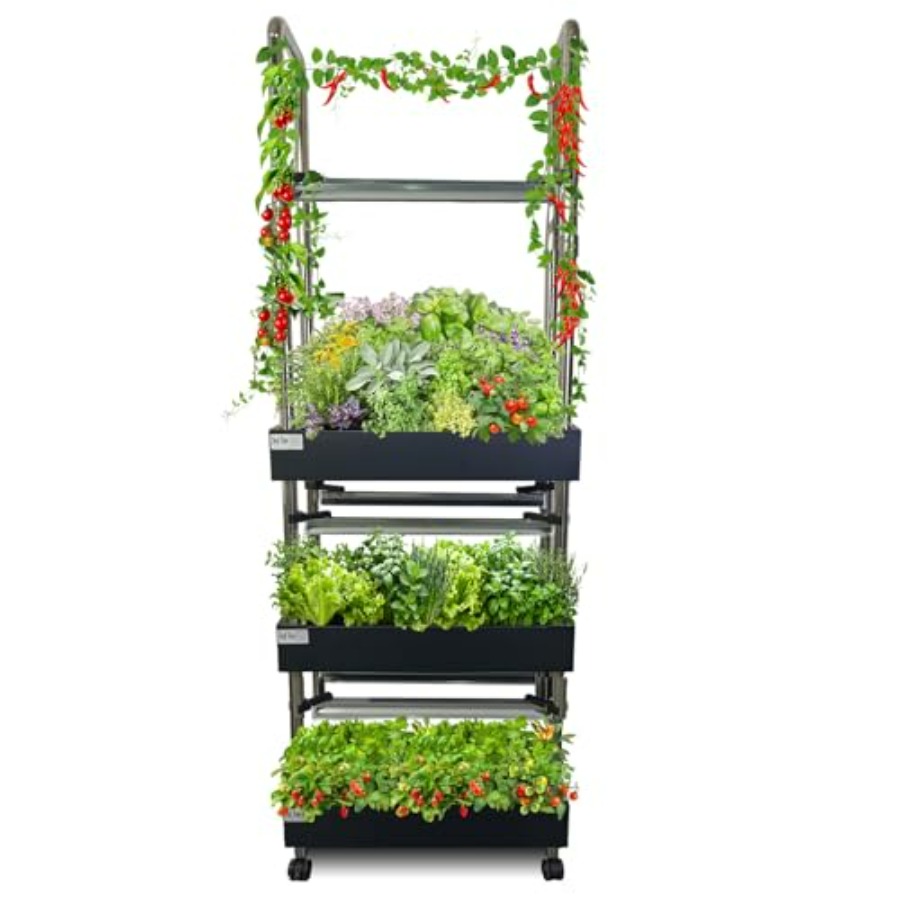 Sistema de cultivo hidropónico - Smart Garden System reseña y precio